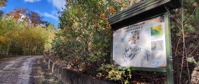 Rozejście przy grodzisku