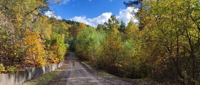 Rozejście przy grodzisku