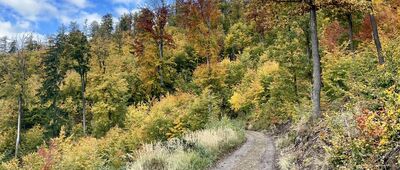 Przełęcz Łaszczowa ↔ Kalwaria