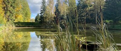 Mariańska Dolina ↔ Kukułka, rozejście szlaków