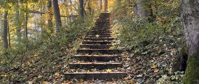 Bukowy Stawek ↔ Zamek Homole