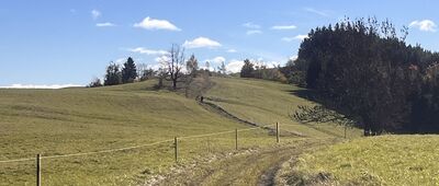 Grodziec ↔ Bukowy Stawek