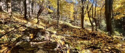 Grodziec ↔ Bukowy Stawek