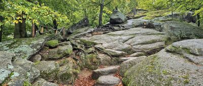 Płaski Kamień ↔ Skalny Grzyb [Czarny szlak przez Zbójeckie Skały]