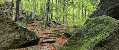 Głazowisko ↔ Przełęcz Żarska [Głazowisko- zielony szlak na Przełęcz Żarską]