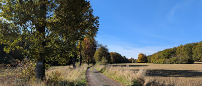Rozdroże pod Zawadą