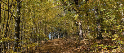 Odejście do grodziska ↔ Pod Gajową