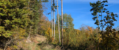Odejście na punkt widokowy