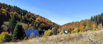 Międzygórze Górne ↔ Góra Parkowa