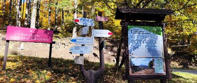 Międzygórze Górne