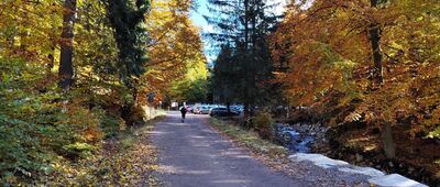 Międzygórze Górne