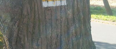 Krzyska ↔ Gniewkowo, Rondo Żołnierzy Wyklętych