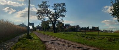 Turzany ↔ Balczewo