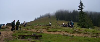 Rusinowa Polana [Polana Rusinowa]