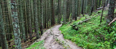 Polana Pod Wołoszynem ↔ Droga Oswalda Balzera, skrzyżowanie szlaków