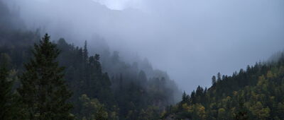 Wodogrzmoty Mickiewicza, odejście do Roztoki