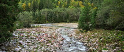 Palenica Białczańska ↔ Droga Oswalda Balzera, skrzyżowanie szlaków [Ujście Waksmundzkiego Potoku do Białki]