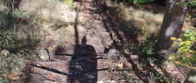 Karpacz, Myśliwska ↔ Rozejście szlaków