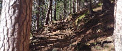 Karpatka ↔ Zbocze Karpatki