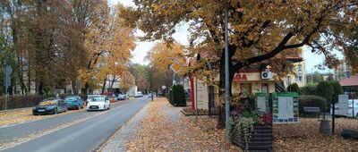 Krzeszowice ↔ Klasztor Karmelitów Bosych w Czernej