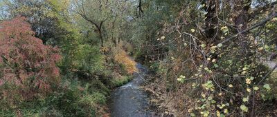 Krzeszowice, ul. Zwierzyniecka ↔ Krzeszowice