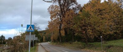 Krzeszowice, ul. Zwierzyniecka