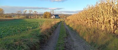 Czułówek ↔ Rezerwat Kajasówka