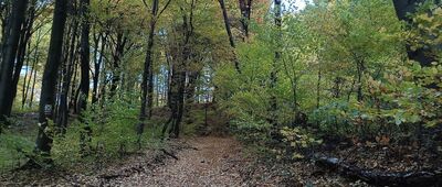 Rozejście szlaków ↔ Rozejście szlaków