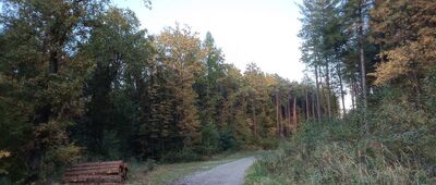 Przeginia Duchowna, ścieżka spacerowa