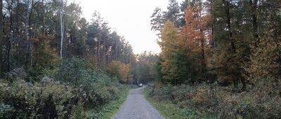 Rezerwat Kajasówka ↔ Przeginia Duchowna, ścieżka spacerowa