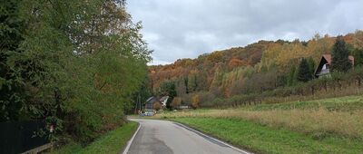 Rezerwat Zimny Dół ↔ Baczyn, rozejście szlaków