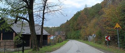 Rezerwat Zimny Dół