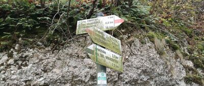 Rezerwat Zimny Dół