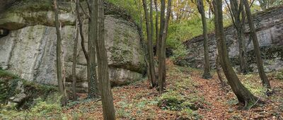 Rezerwat Zimny Dół, jaskinia