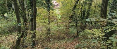 Skałka, Rezerwat Zimny Dół