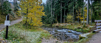 Cudakowa Polana [Rozejście szlaków przy Cudakowej Polanie]