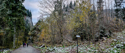 Lodowe Źródło [Odejście na Polanę na Stołach]