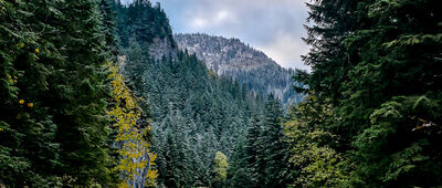 Lodowe Źródło ↔ Skała Sowa [Kościeliski Potok]