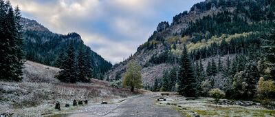 Skała Sowa ↔ Polana Pisana [Polana Pisana]