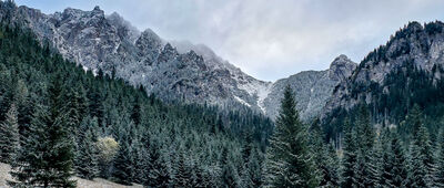 Polana Pisana [Zdziary Pisaniarskie z Polany Pisanej]