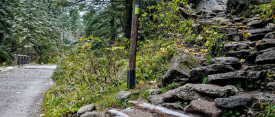 Dolina Kościeliska, szlak do Mylnej Jaskini [Szlak do Jaskini Mylnej i Raptawickiej]
