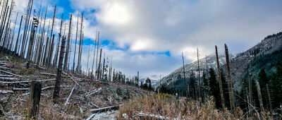Rozejście szlaków [Czarny szlak nad Staw Smreczyński]