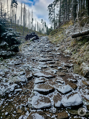 Czarny szlak nad Staw Smreczyński
