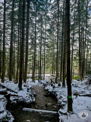 Czarny szlak nad Staw Smreczyński