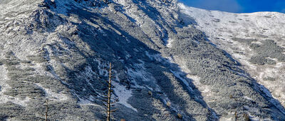 Smreczyński Staw [Ornak znad Stawu Smreczyńskiego]