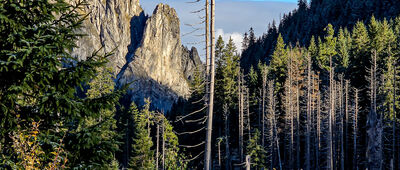Rozejście szlaków ↔ Smreczyński Staw [Czarny szlak nad Staw Smreczyński]