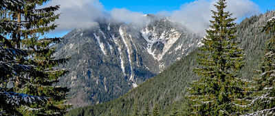 Rozejście szlaków ↔ Tomanowy Potok [Kominiarski Wierch z Wyżniej Tomanowej Polany]