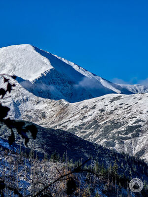 Starorobociański Wierch z Tomanowego Potoku