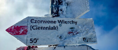 Chuda Przełączka [Chuda Przełączka 1851 m n.p.m.]