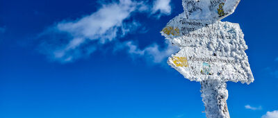 Kondracka Kopa [Kopa Kondracka 2005 m n.p.m.]